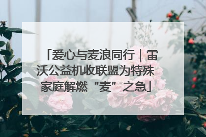 爱心与麦浪同行｜雷沃公益机收联盟为特殊家庭解燃“麦”之急