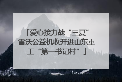 爱心接力战“三夏” 雷沃公益机收开进山东重工“第一书记村”