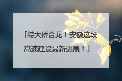 特大桥合龙！安徽这段高速建设最新进展！