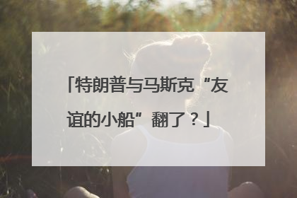 特朗普与马斯克“友谊的小船”翻了？