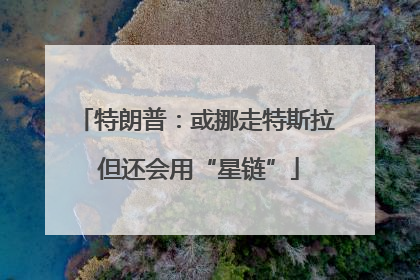 特朗普：或挪走特斯拉 但还会用“星链”