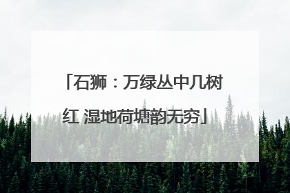 石狮：万绿丛中几树红 湿地荷塘韵无穷