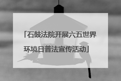 石鼓法院开展六五世界环境日普法宣传活动