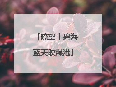 瞭望丨碧海蓝天映煤港