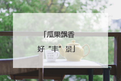 瓜果飘香 好“丰”景