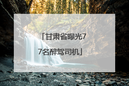 甘肃省曝光77名醉驾司机