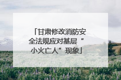 甘肃修改消防安全法规应对基层“小火亡人”现象