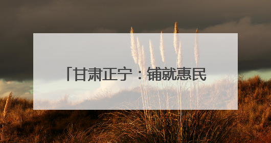 甘肃正宁：铺就惠民“幸福路” 跑出乡村振兴“加速度”