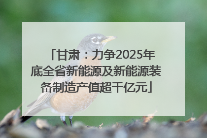 甘肃：力争2025年底全省新能源及新能源装备制造产值超千亿元