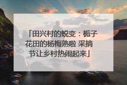 田兴村的蜕变：栀子花田的杨梅熟啦 采摘节让乡村热闹起来