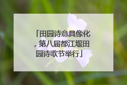 田园诗意具像化，第八届都江堰田园诗歌节举行