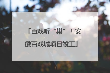 百戏听“巢”！安徽百戏城项目竣工