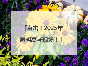 直击！2025年昆明高考现场！