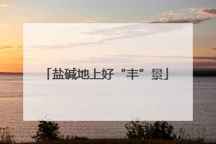 盐碱地上好“丰”景