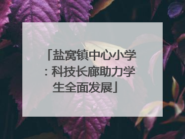 盐窝镇中心小学：科技长廊助力学生全面发展