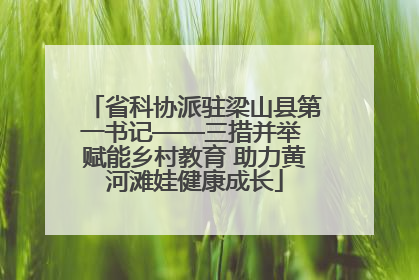 省科协派驻梁山县第一书记——三措并举 赋能乡村教育 助力黄河滩娃健康成长