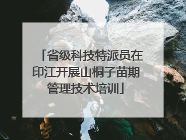 省级科技特派员在印江开展山桐子苗期管理技术培训