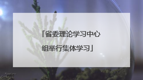 省委理论学习中心组举行集体学习