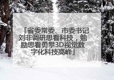 省委常委、市委书记刘非调研思看科技，勉励思看勇攀3D视觉数字化科技高峰