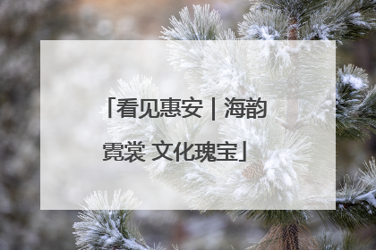 看见惠安｜海韵霓裳 文化瑰宝