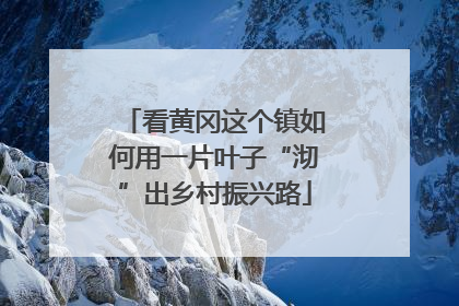 看黄冈这个镇如何用一片叶子“沏”出乡村振兴路
