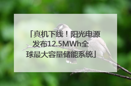 真机下线！阳光电源发布12.5MWh全球最大容量储能系统