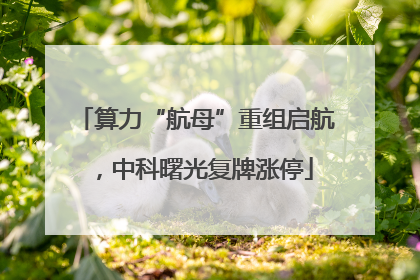 算力“航母”重组启航，中科曙光复牌涨停