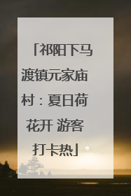 祁阳下马渡镇元家庙村：夏日荷花开 游客打卡热