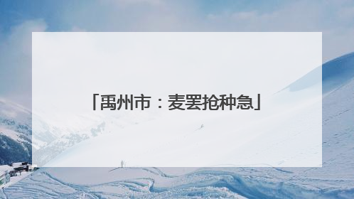 禹州市：麦罢抢种急