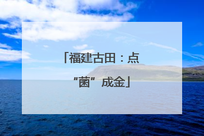 福建古田：点“菌”成金