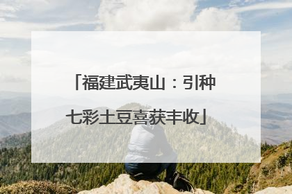福建武夷山：引种七彩土豆喜获丰收