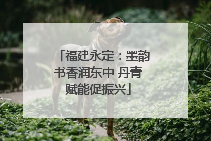福建永定：墨韵书香润东中 丹青赋能促振兴