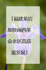 福建龙岩加快闽西革命老区高质量发展