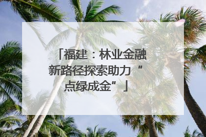 福建：林业金融新路径探索助力“点绿成金”