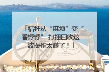 秸秆从“麻烦”变“香饽饽” 打捆回收这波操作太赚了！