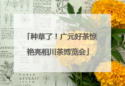 种草了！广元好茶惊艳亮相川茶博览会