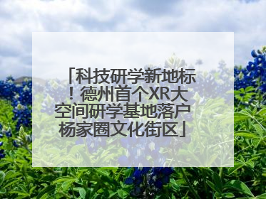 科技研学新地标！德州首个XR大空间研学基地落户杨家圈文化街区