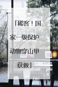 稀客！国家一级保护动物穿山甲获救