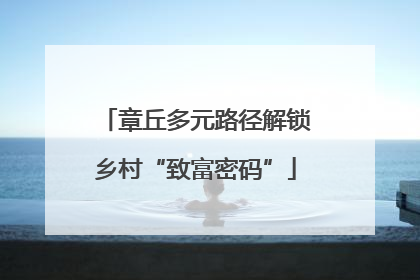 章丘多元路径解锁乡村“致富密码”