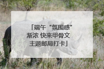 端午“氛围感”渐浓 快来甲骨文主题邮局打卡