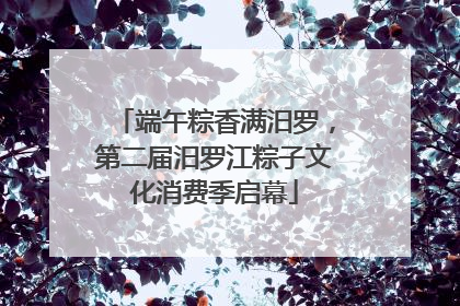 端午粽香满汨罗，第二届汨罗江粽子文化消费季启幕