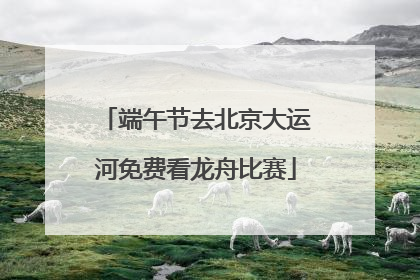 端午节去北京大运河免费看龙舟比赛