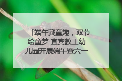 端午藏童趣，双节绘童梦 宜宾教工幼儿园开展端午暨六一亲子游园活动