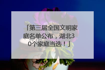 第三届全国文明家庭名单公布，湖北30个家庭当选！