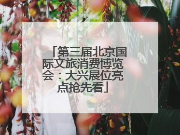 第三届北京国际文旅消费博览会：大兴展位亮点抢先看