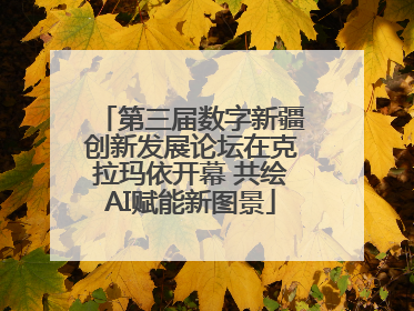 第三届数字新疆创新发展论坛在克拉玛依开幕 共绘AI赋能新图景