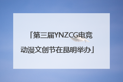 第三届YNZCG电竞动漫文创节在昆明举办