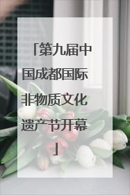 第九届中国成都国际非物质文化遗产节开幕