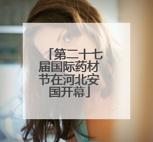 第二十七届国际药材节在河北安国开幕