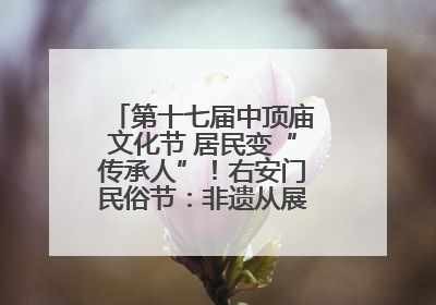 第十七届中顶庙文化节 居民变“传承人”！右安门民俗节：非遗从展柜走进烟火气